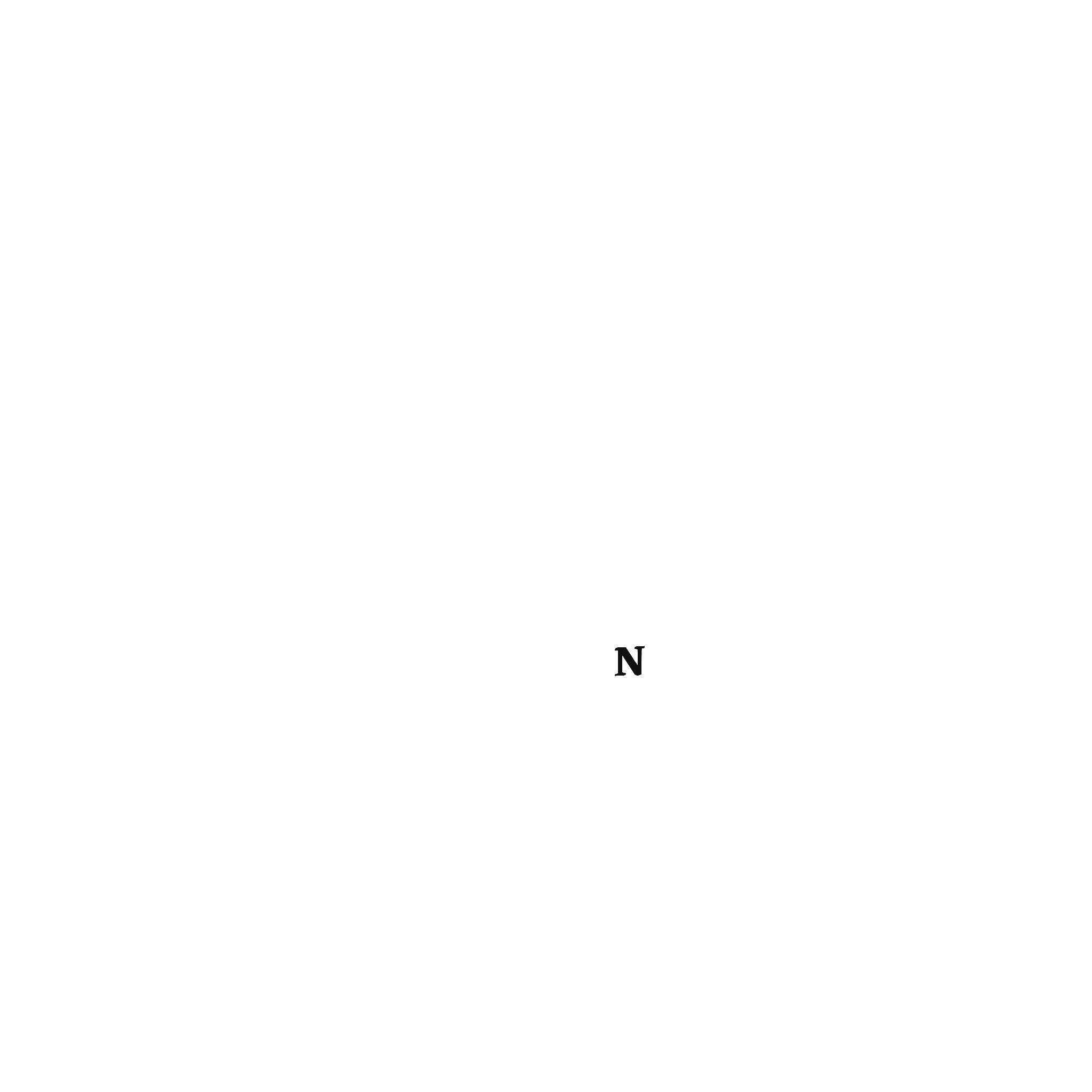 Notion Concept Logo Animation